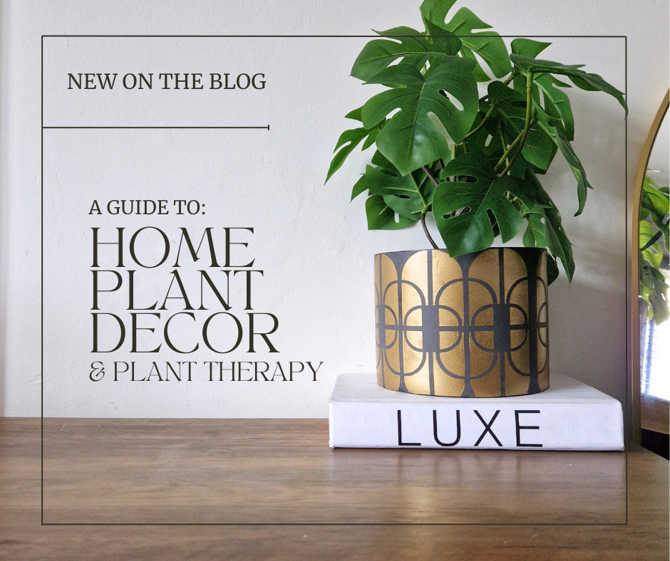 A Guide to: Home Plant Decor and Plant Therapy
